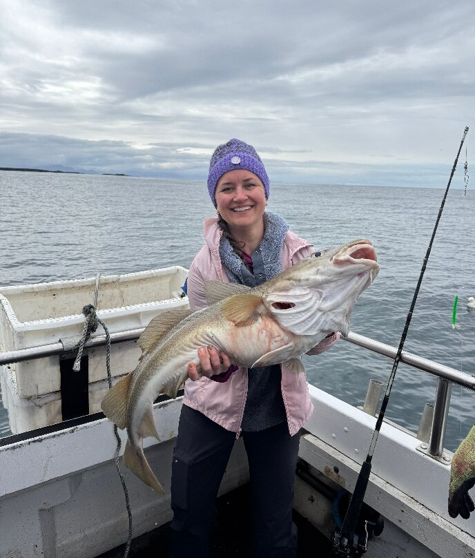 Ocean Adventures-Stykkisholmur必去景点