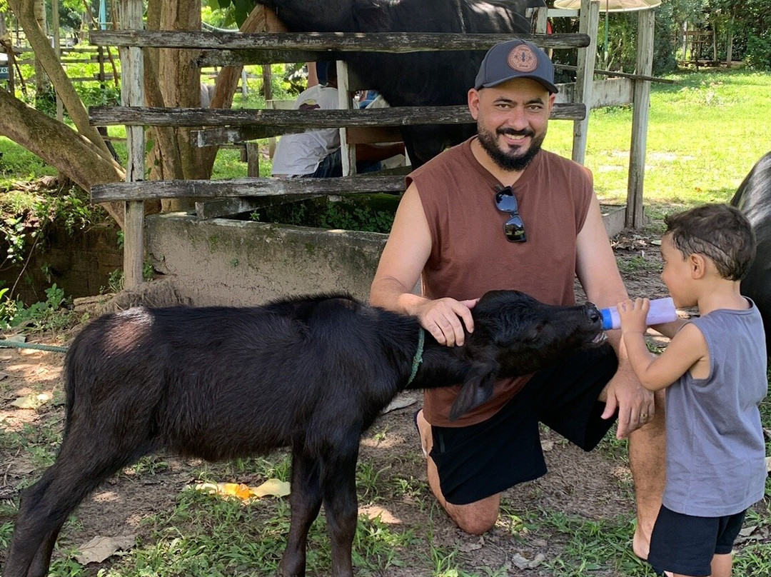 Fazenda Mironga-Soure必去景点