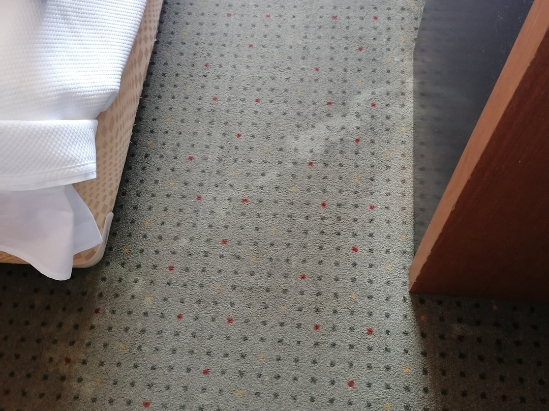 Bagoeira Hotel主图