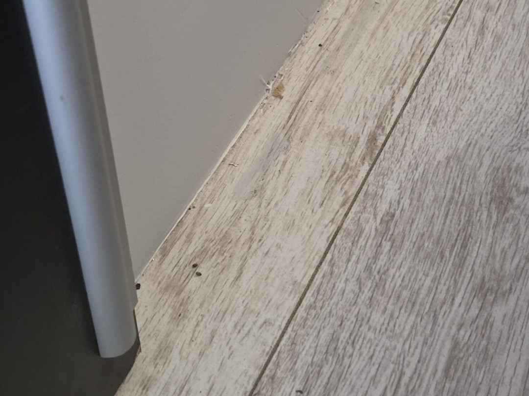 Koscielna Loft Apartaments