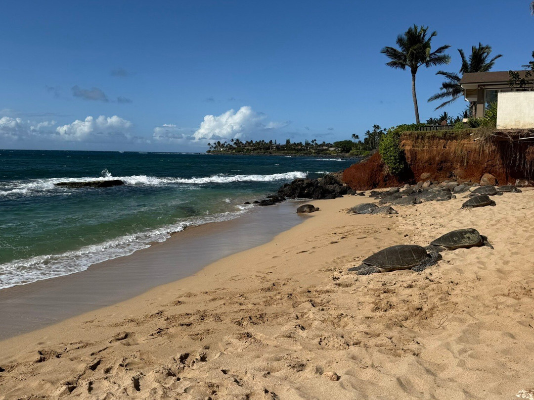 Hawaiian Style Tours-哈纳必去景点