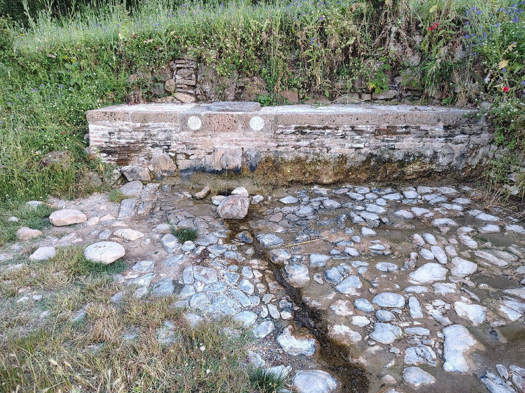 Sorgente acqua minerale-Tolfa必去景点