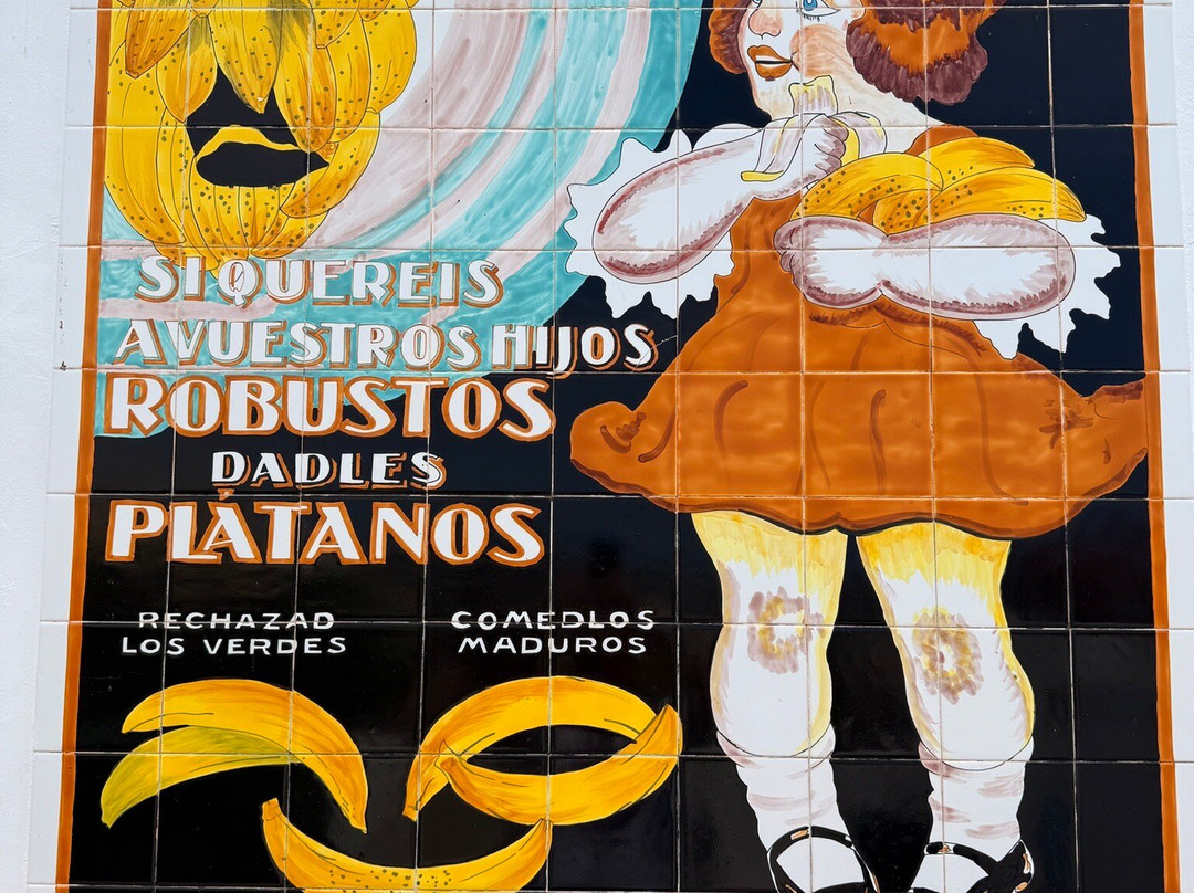 Casa del Plátano景点图片