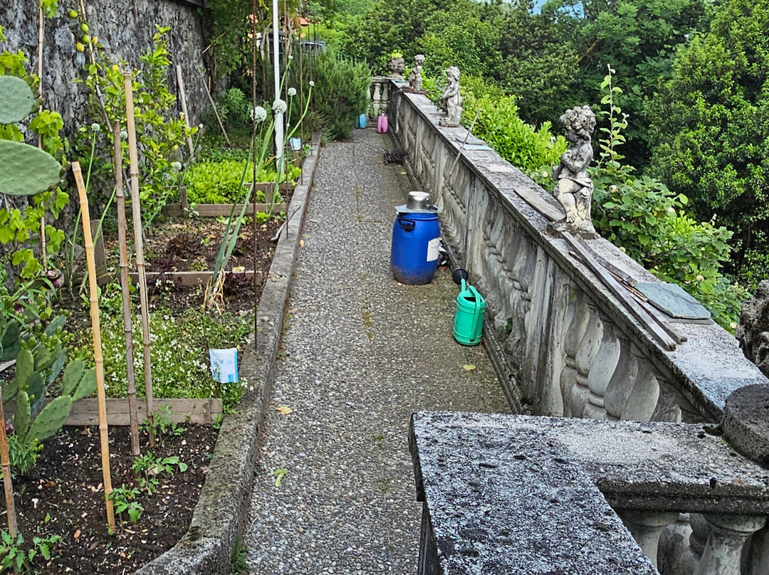 Il Giardino Botanico Bed and Breakfast主图