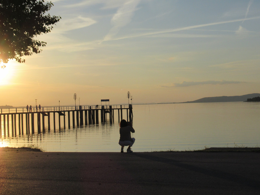 别墅湖泊酒店主图