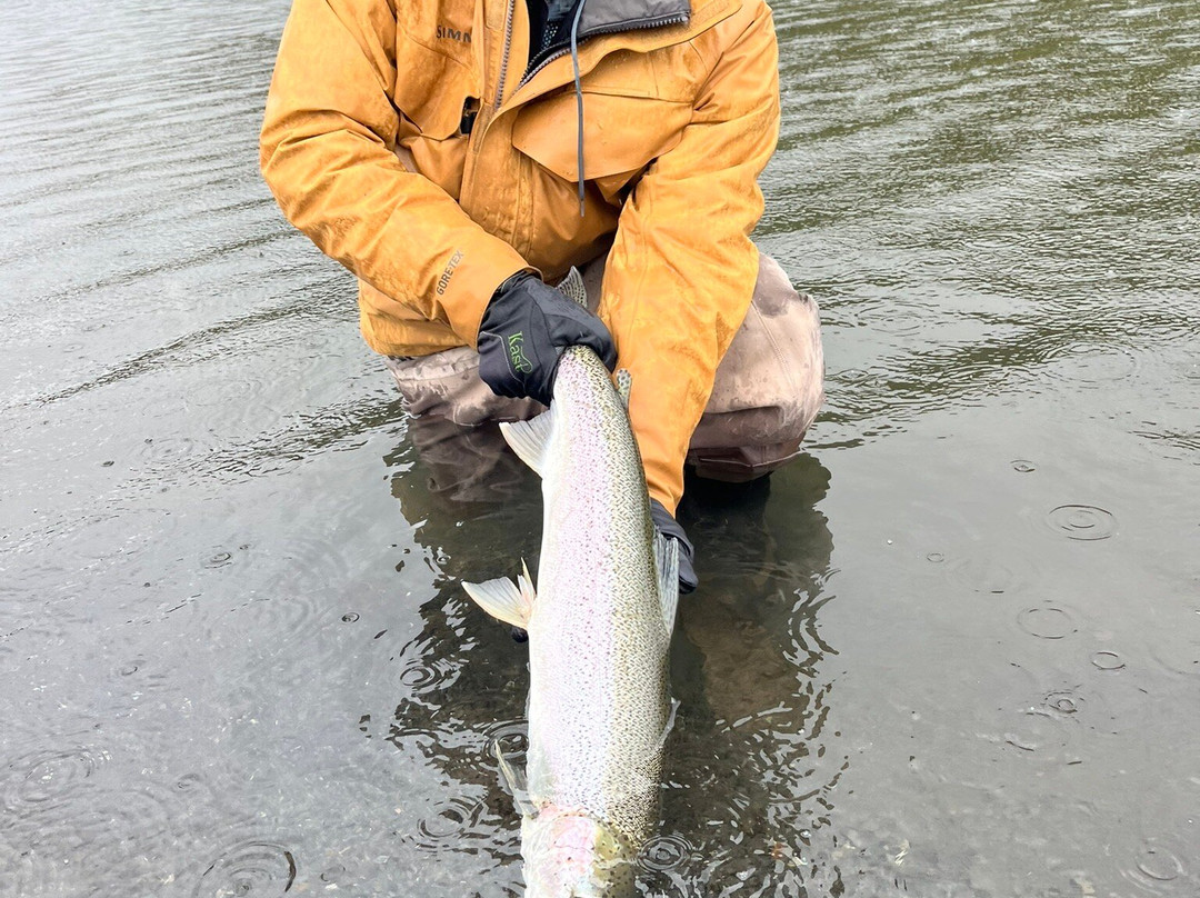 Saltery Adventures-Kodiak必去景点