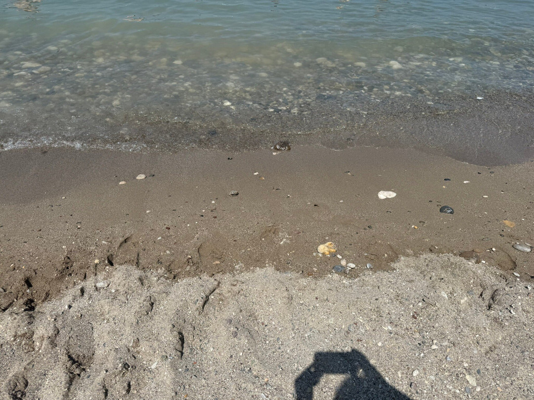 Supple Beach Club景点图片