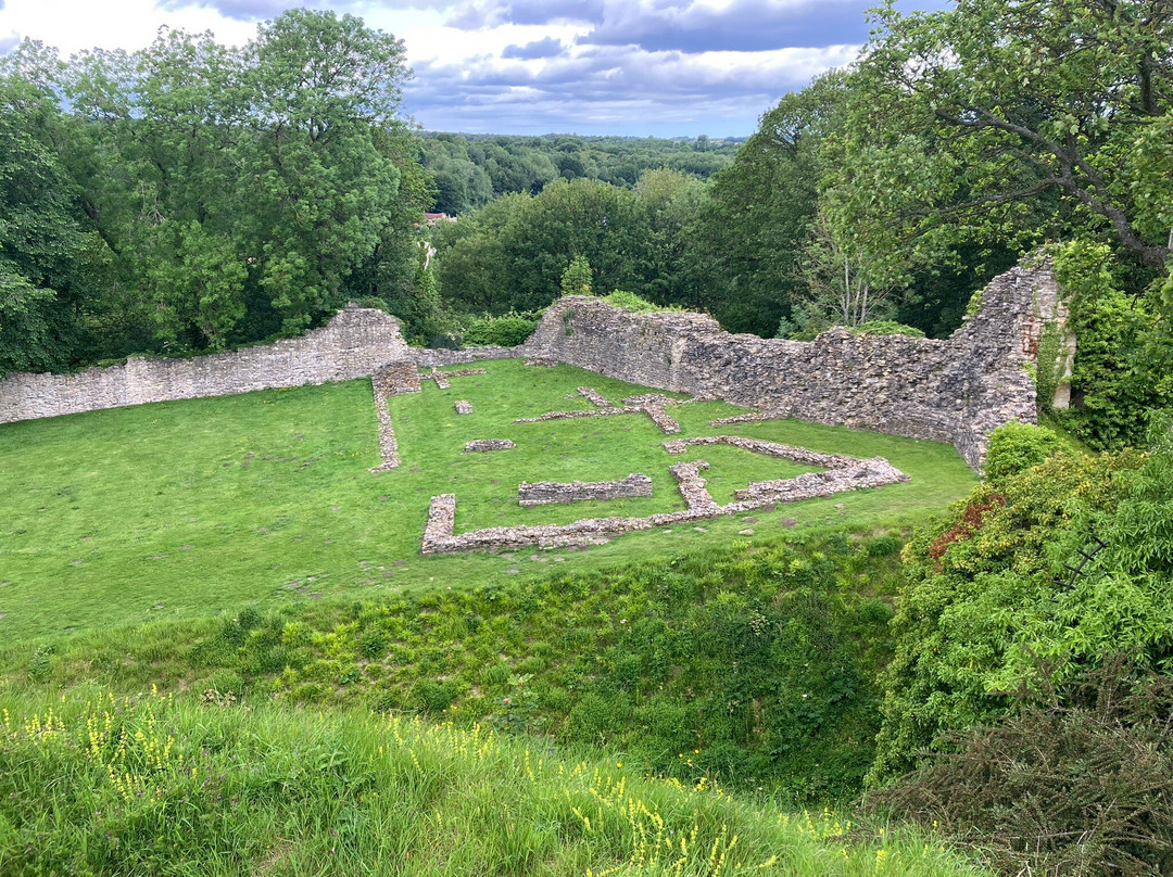 Pickering Castle景点图片