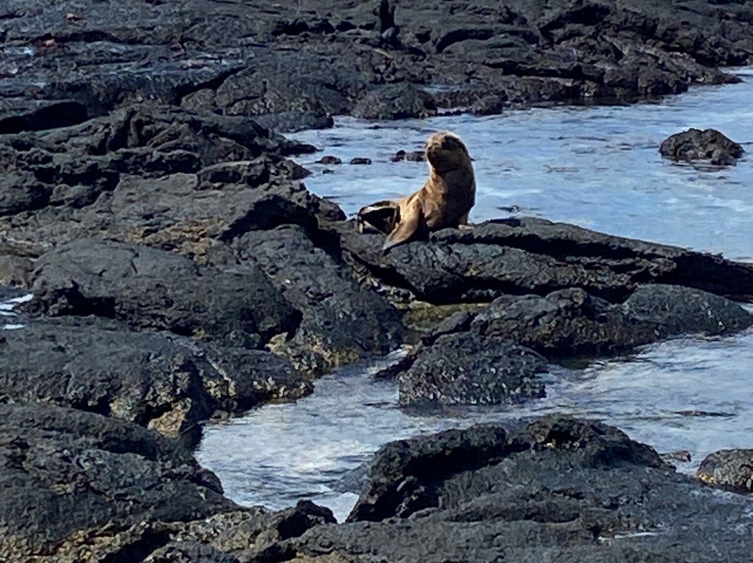 Yacht Anahi-阿约拉港必去景点