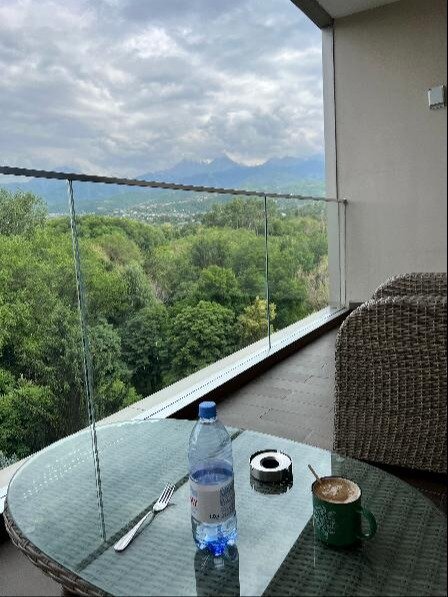 Swissôtel Wellness Resort Alatau Almaty-酒店景观
