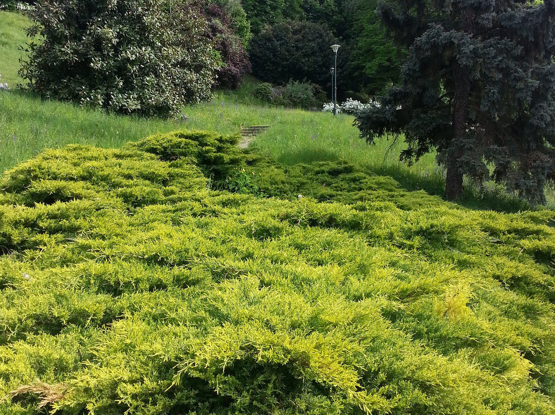 Parco Pubblico Villa Genero-都灵必去景点