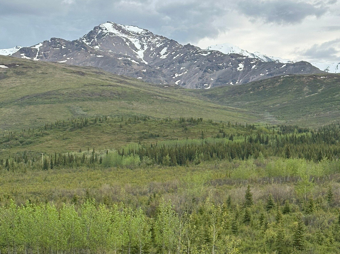 Denali Black Diamond Covered Wagon景点图片