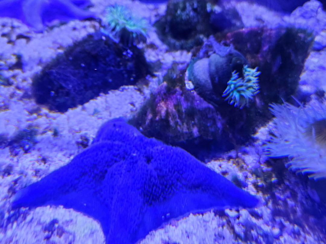 Baymont by Wyndham Sioux Falls主图