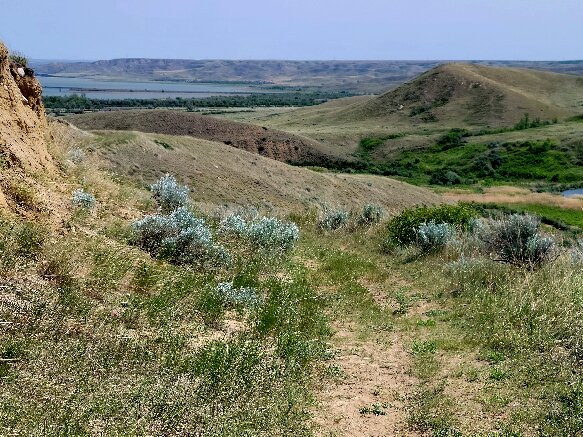 Saskatchewan Landing Provincial Park-Stewart Valley必去景点