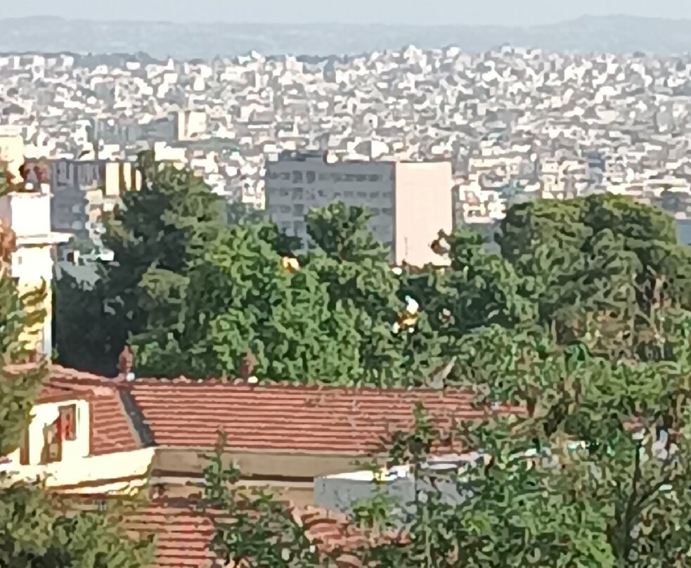 Trigonion Tower景点图片