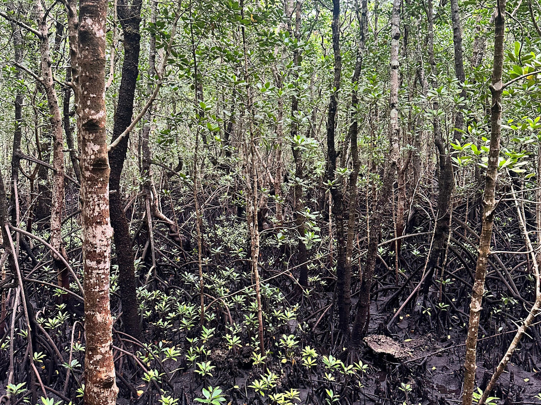 Ishaka Zanzibar Tours & Travel-必韦久必去景点