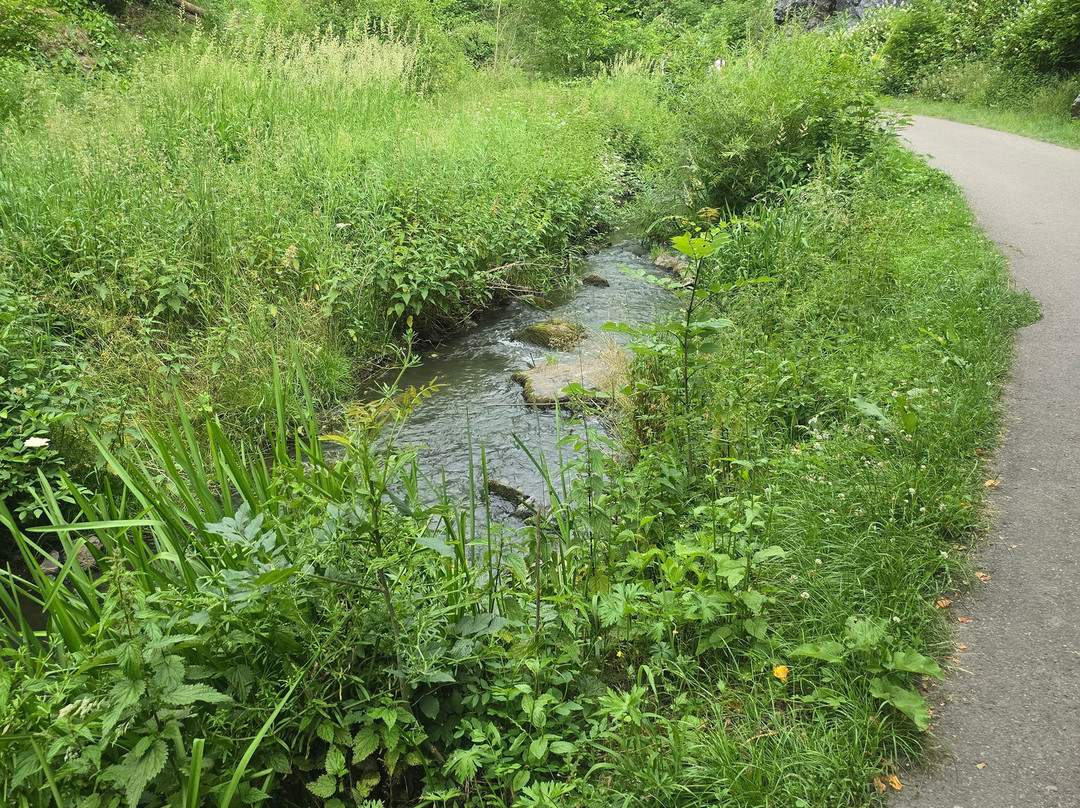 Prague Natur Retreats景点图片