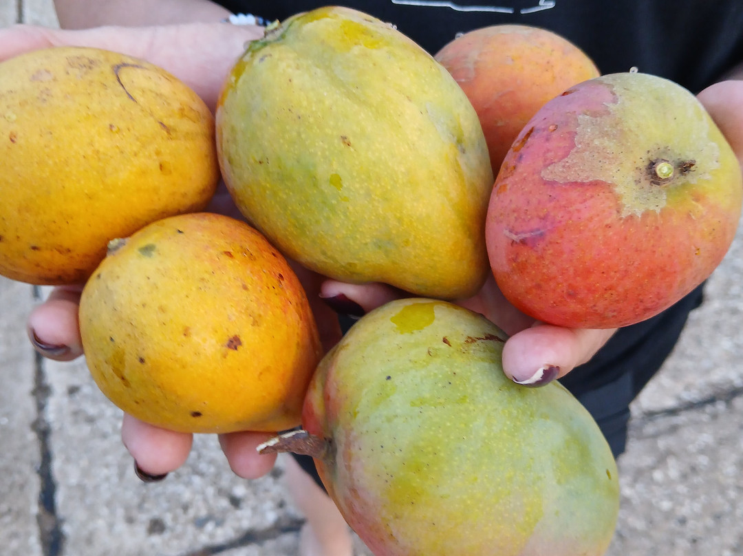 Punta Borinquen Resort主图