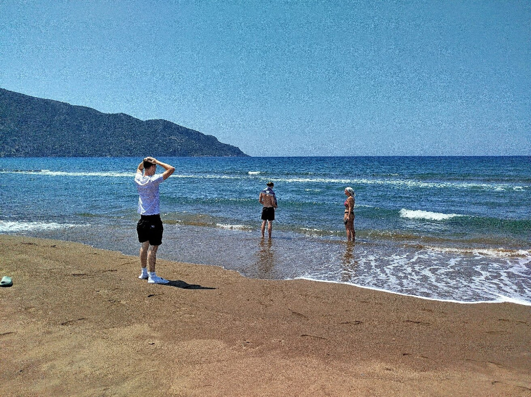 Kingfisher 1 Boat Tours-穆拉必去景点