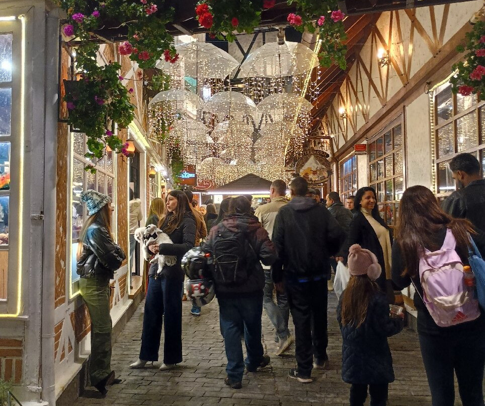 Vila Capivari-坎普斯－杜若尔当必去景点