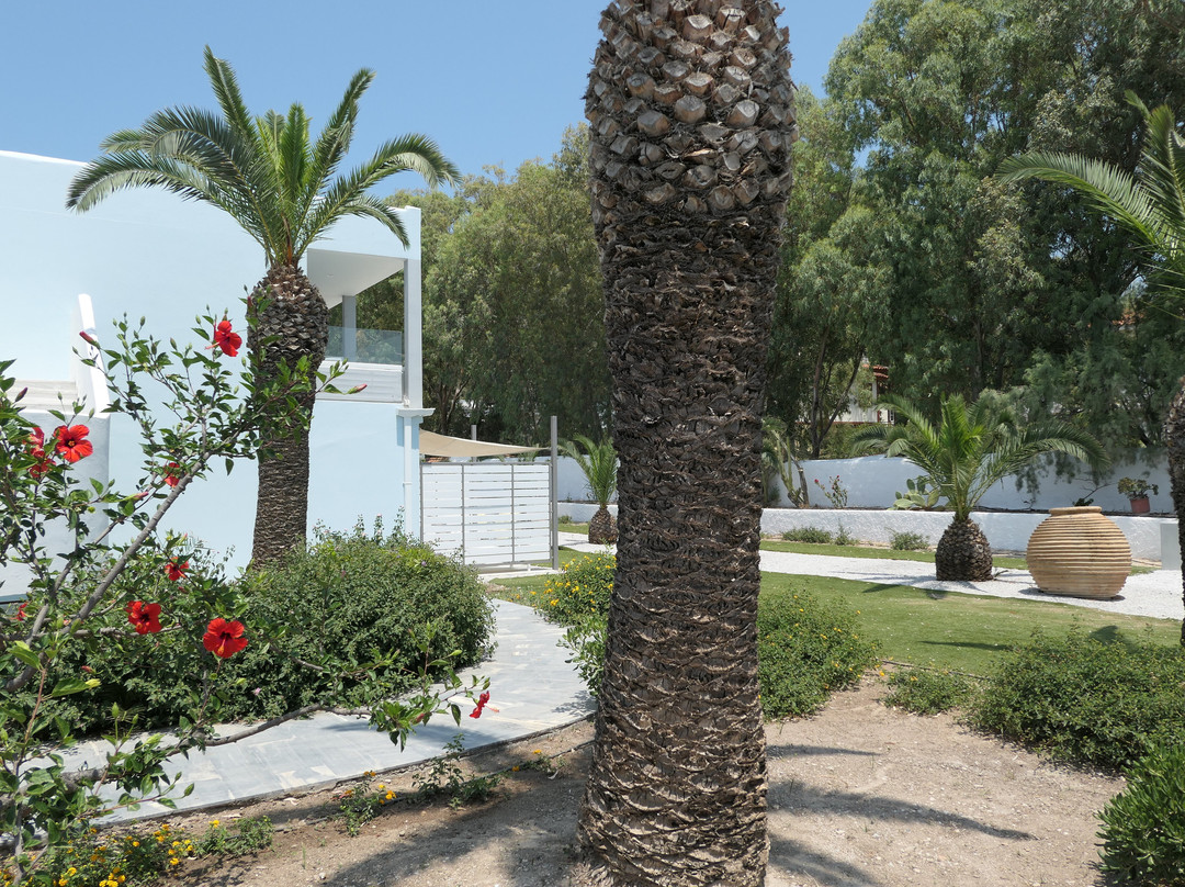 Kouros Seasight主图