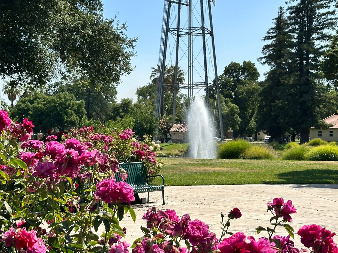 University Park World Peace Rose Garden-斯托克顿必去景点