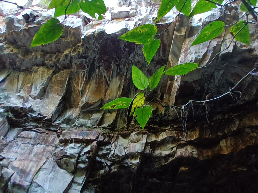 Buraco das Andorinhas-Formosa必去景点