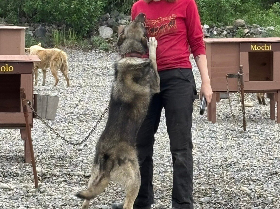 Dog Gone It-坎特维尔必去景点