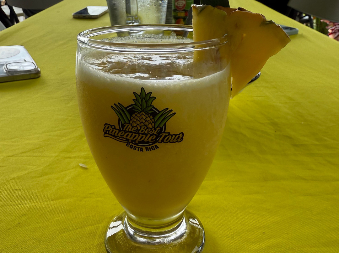 The Best Pineapple Tour Costa Rica-Rio Cuarto必去景点