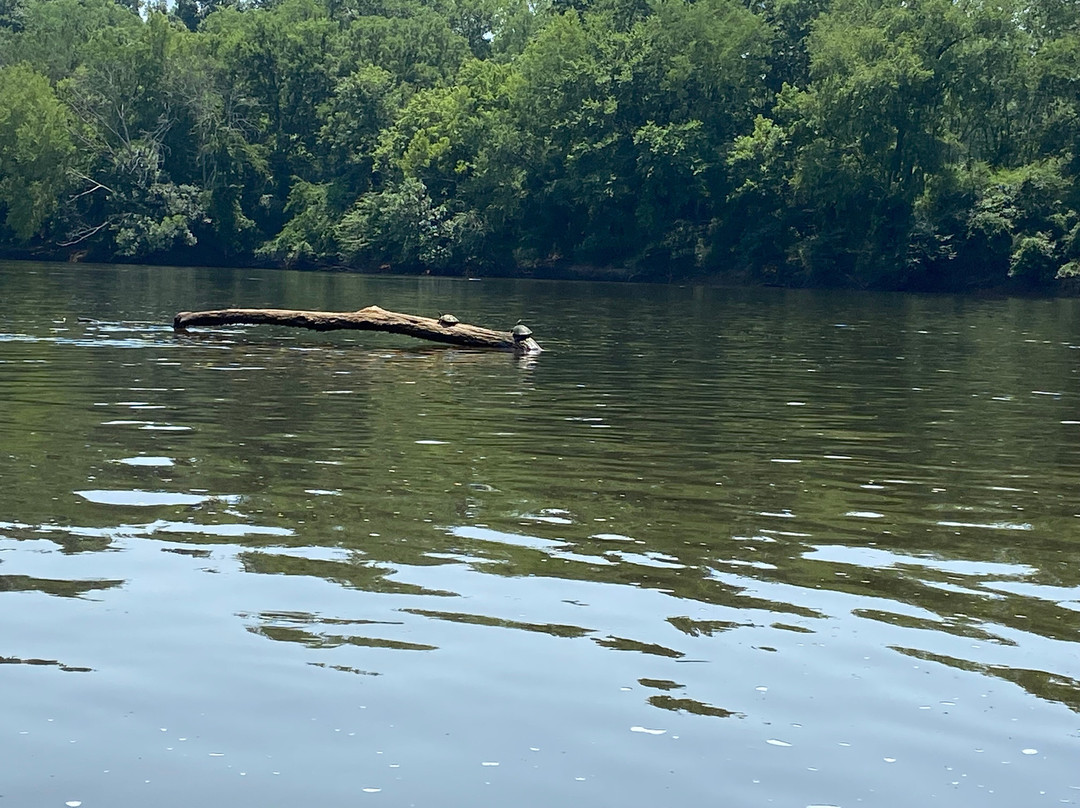 Cape Fear River Adventures, LLC-Lillington必去景点