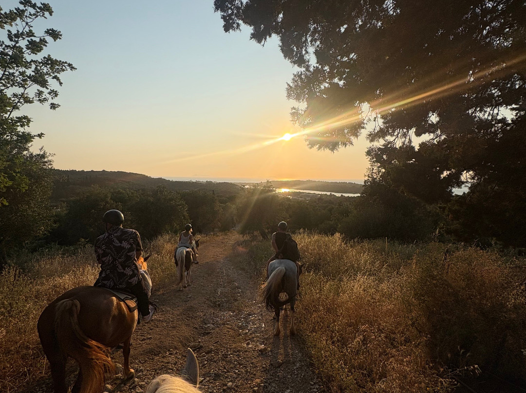 North Corfu Horses-Peritheia必去景点
