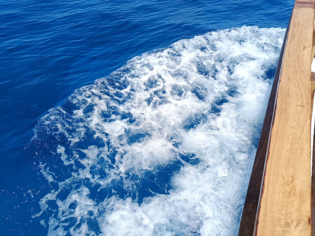 Cretan Unique Cruises-Makry-Gialos必去景点