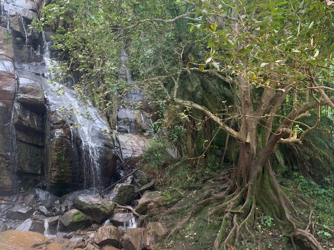 Kwamongo Expeditions-坦噶必去景点