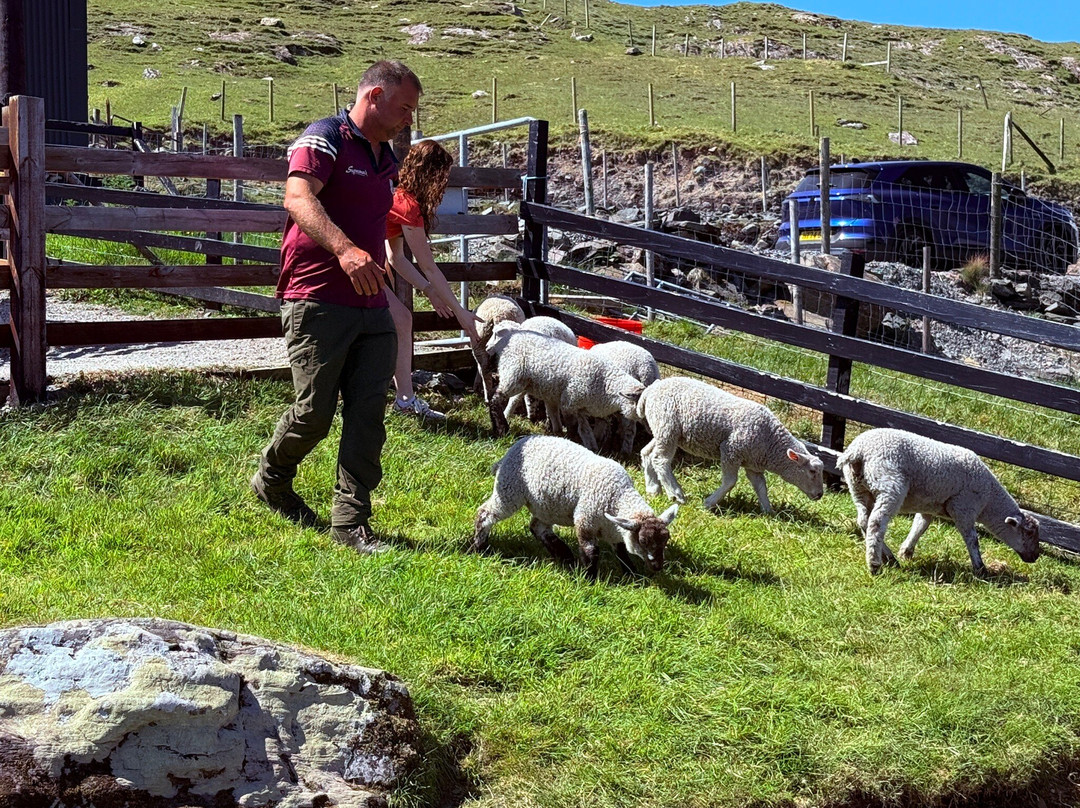 Killary Sheep Farm-Leenane必去景点