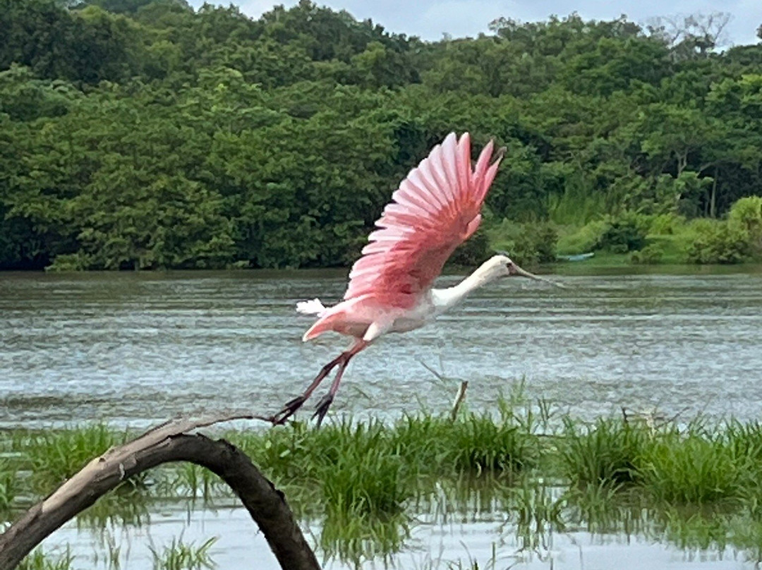 Lucas Croki Tours-Bajamar必去景点