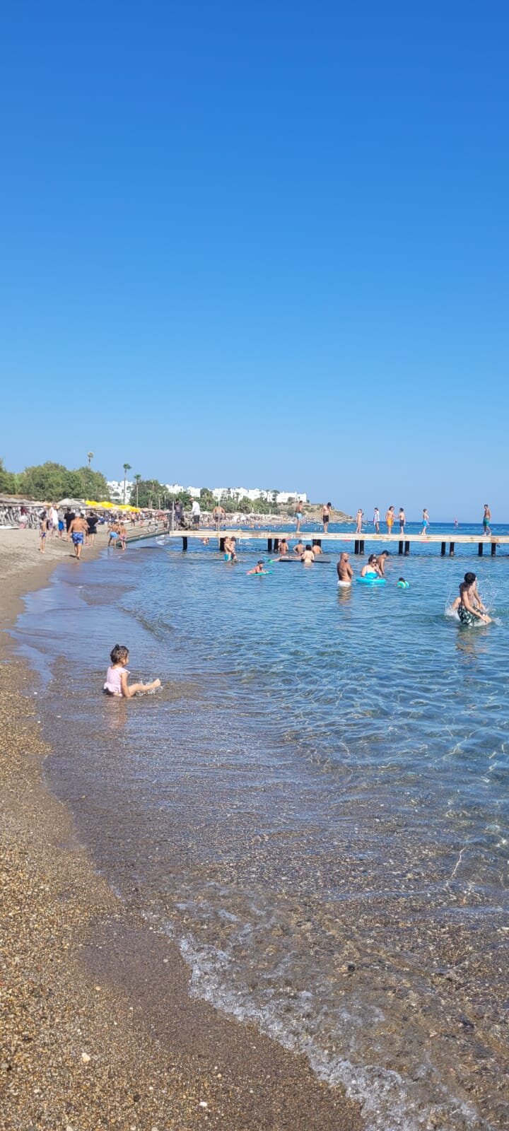 Bendis Beach Hotel-泳池