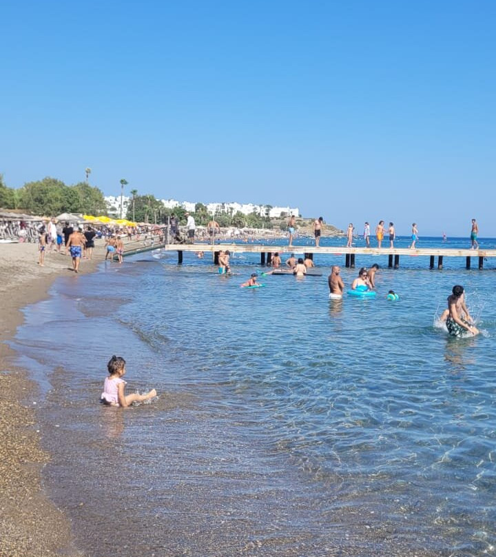 Bendis Beach Hotel主图