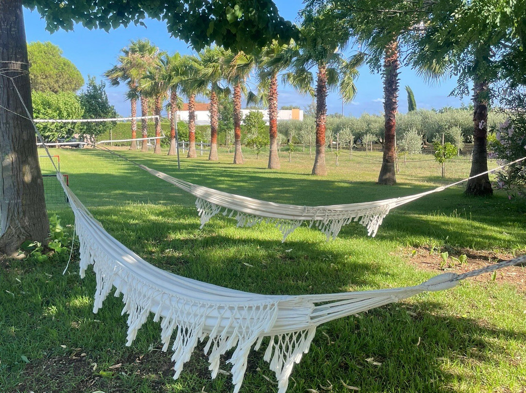 Bed & Breakfast Radici24主图