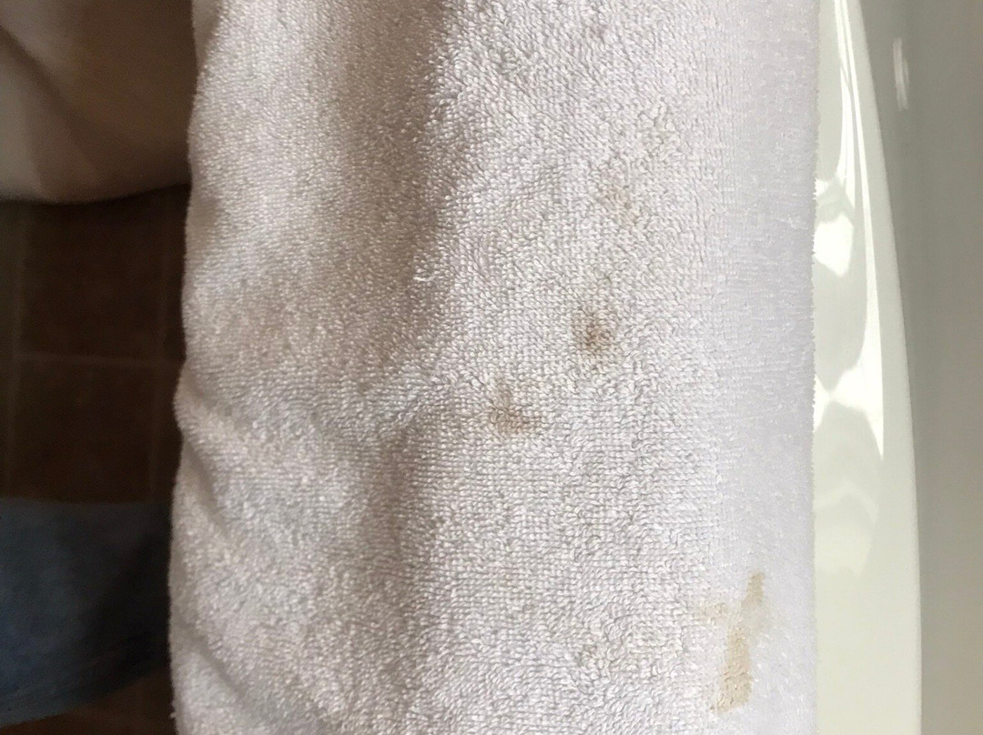 Whitsha Inn B&B主图