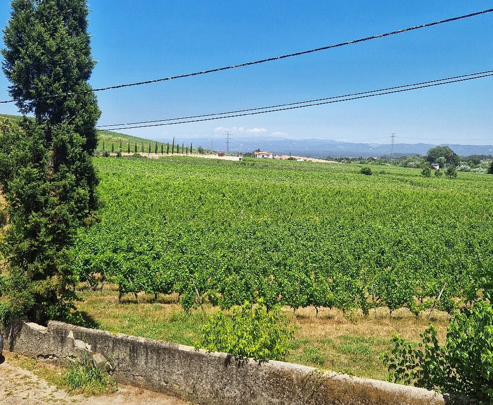 Quinta De S. Lourenco主图