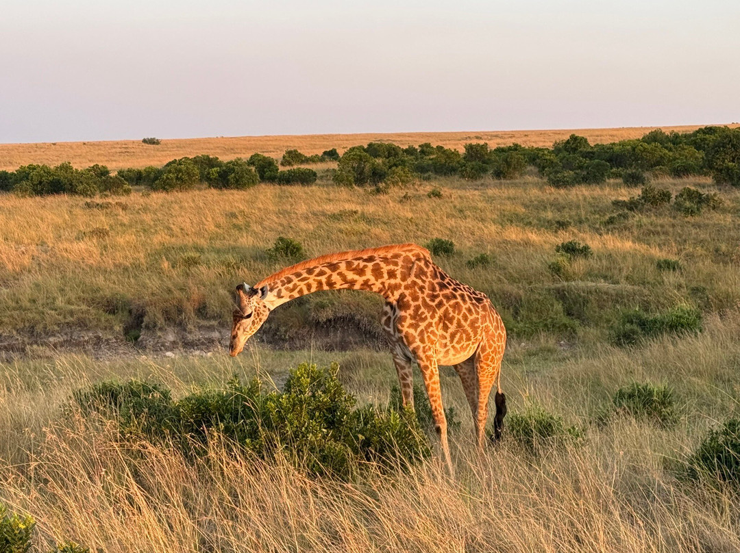 Twende Development and Travel-Eldoret必去景点