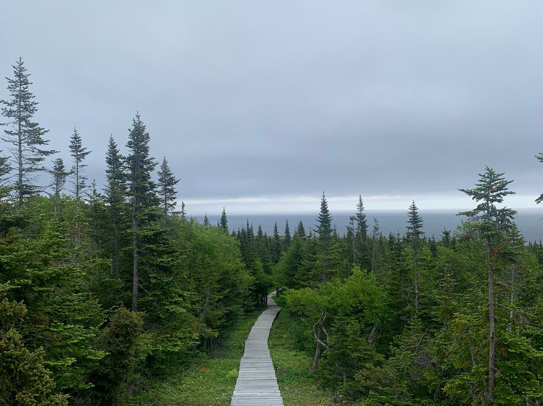 Bouquets Hill Walking Trail-West Saint Modeste必去景点