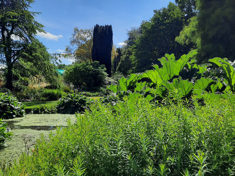 Beth Chatto's Plants & Gardens-科尔切斯特必去景点