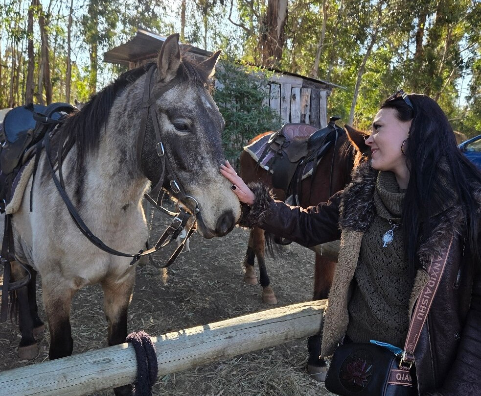 Dullstroom on Horseback-德尔斯特鲁姆必去景点