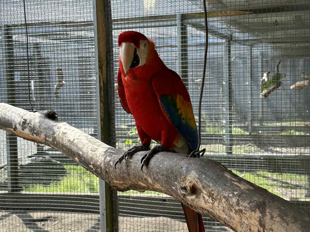 Haugaland Zoo-Viken必去景点