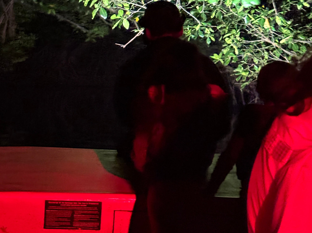 BioIsland-Cabezas必去景点