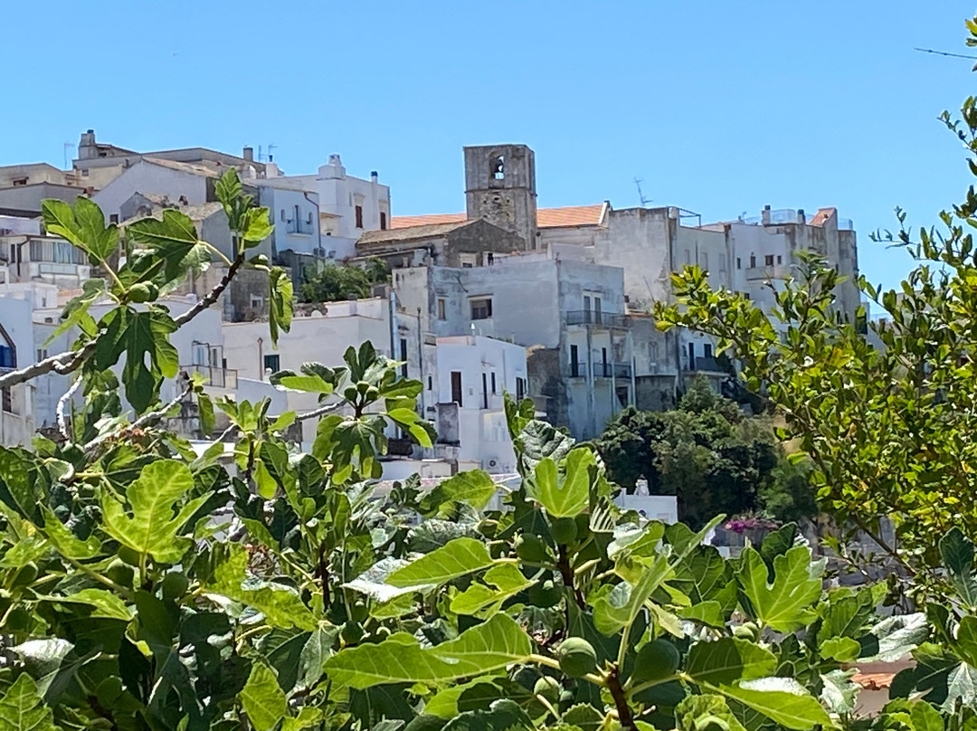 Castello di Peschici-佩斯基奇必去景点