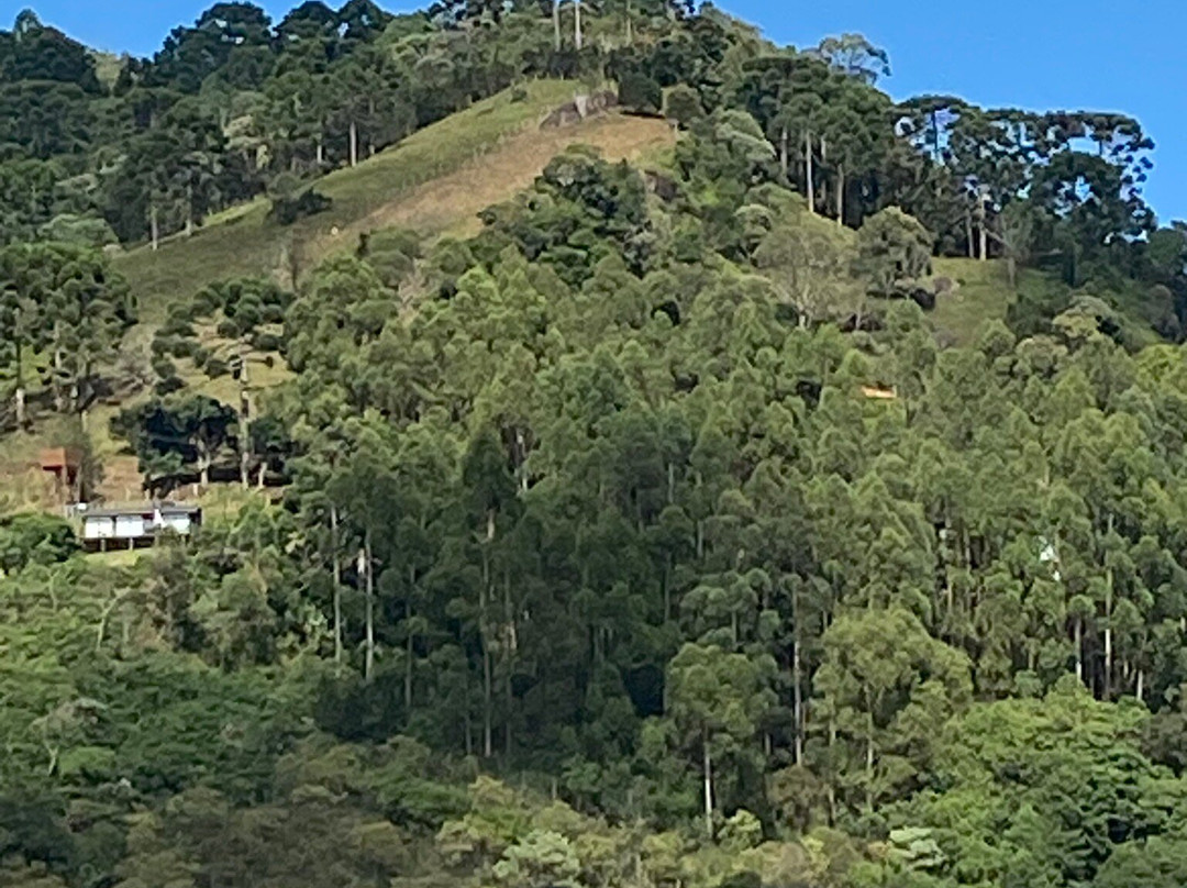 Vinícola Artesã-Goncalves必去景点