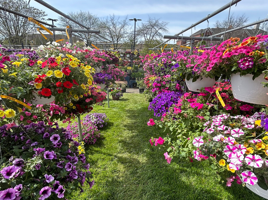 The Summit All Seasons Market at Kirkwood Farmers' Market-Kirkwood必去景点