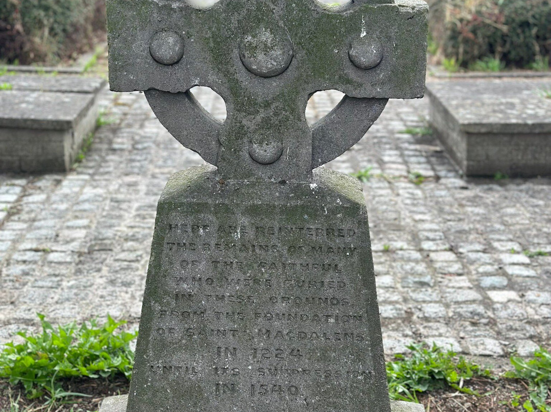 Magdalene Tower-Drogheda必去景点